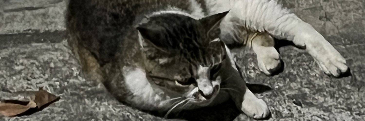 s89171367's profile banner image