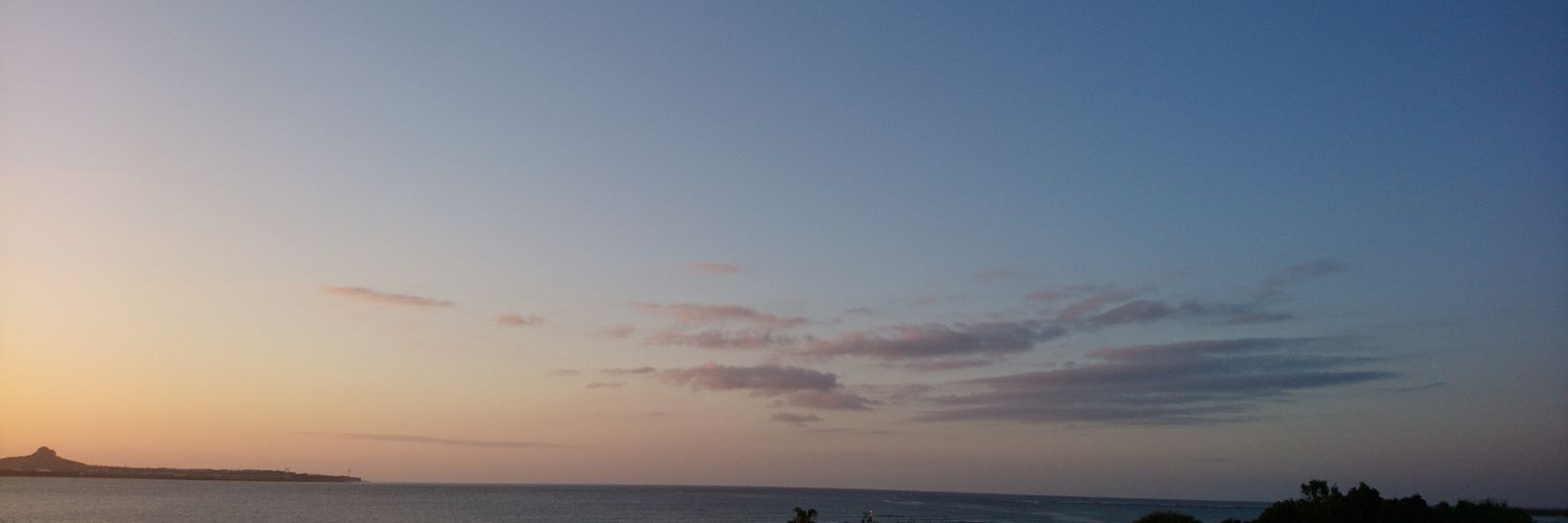 boisdejustis's profile banner image