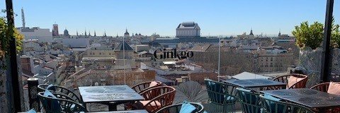teacitocol_gg's profile banner image