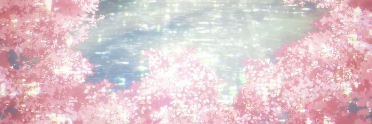 손도라✨️そんどら banner