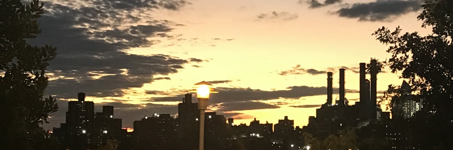 _pavses's profile banner image
