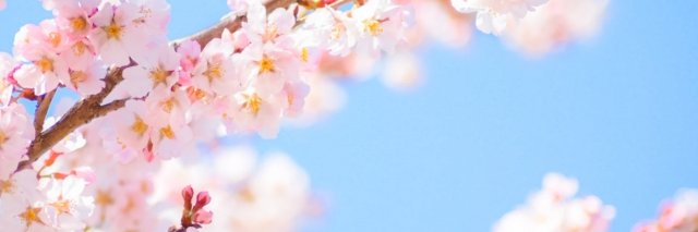 mizorerorero's profile banner image