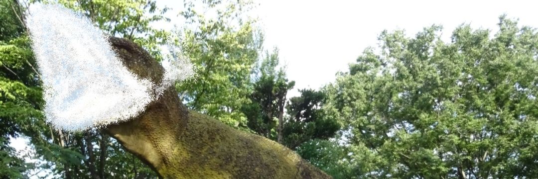 コーキ banner