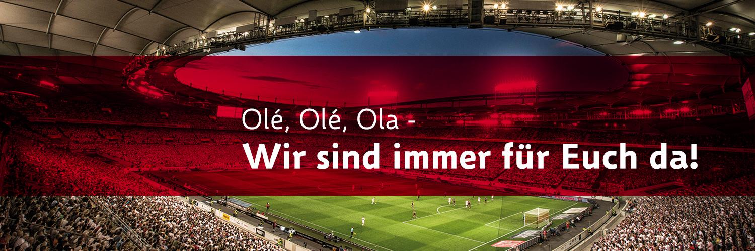 VfB Service Team banner