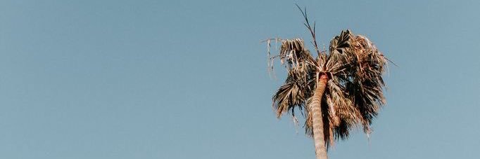 keebrandt's profile banner image