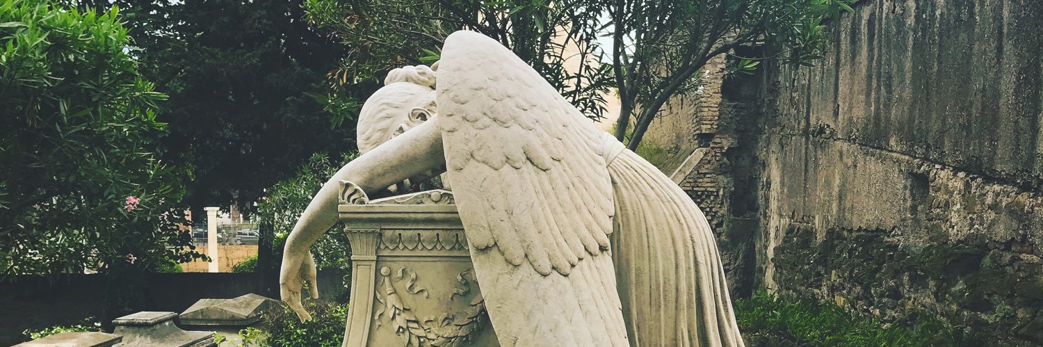 Steph MacGillivray banner