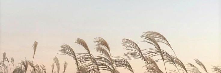 thecodestaff's profile banner image