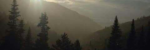 tylernielson34's profile banner image
