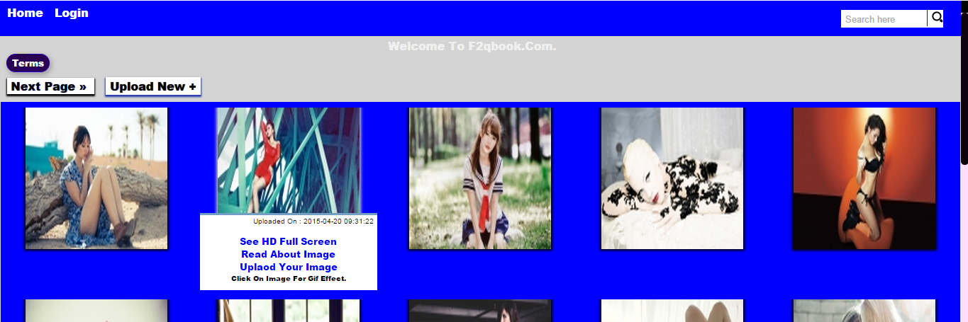 f2qbook's profile banner image