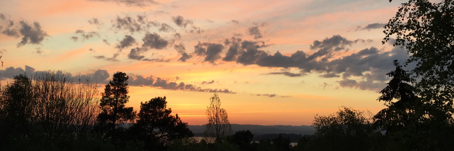 Ingvild Stub has left the building banner