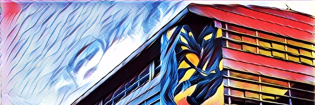 Le_Magellan's profile banner image