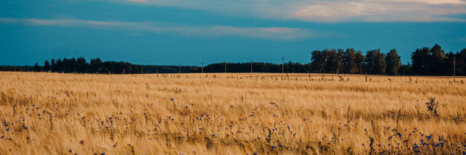 subashs293's profile banner image