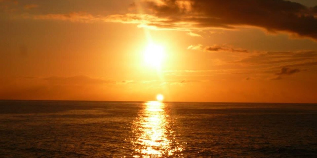 Sarah Harper banner