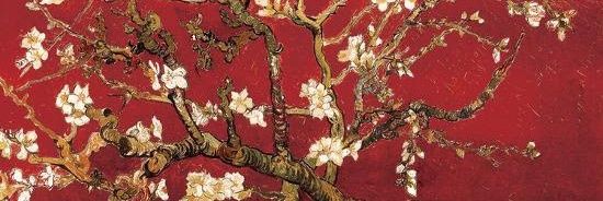laiamagarinyo's profile banner image