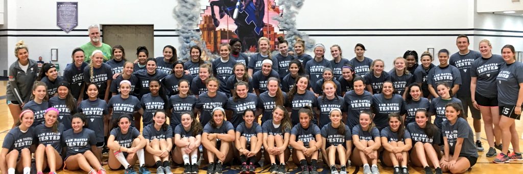 Lake Park Girls VB banner
