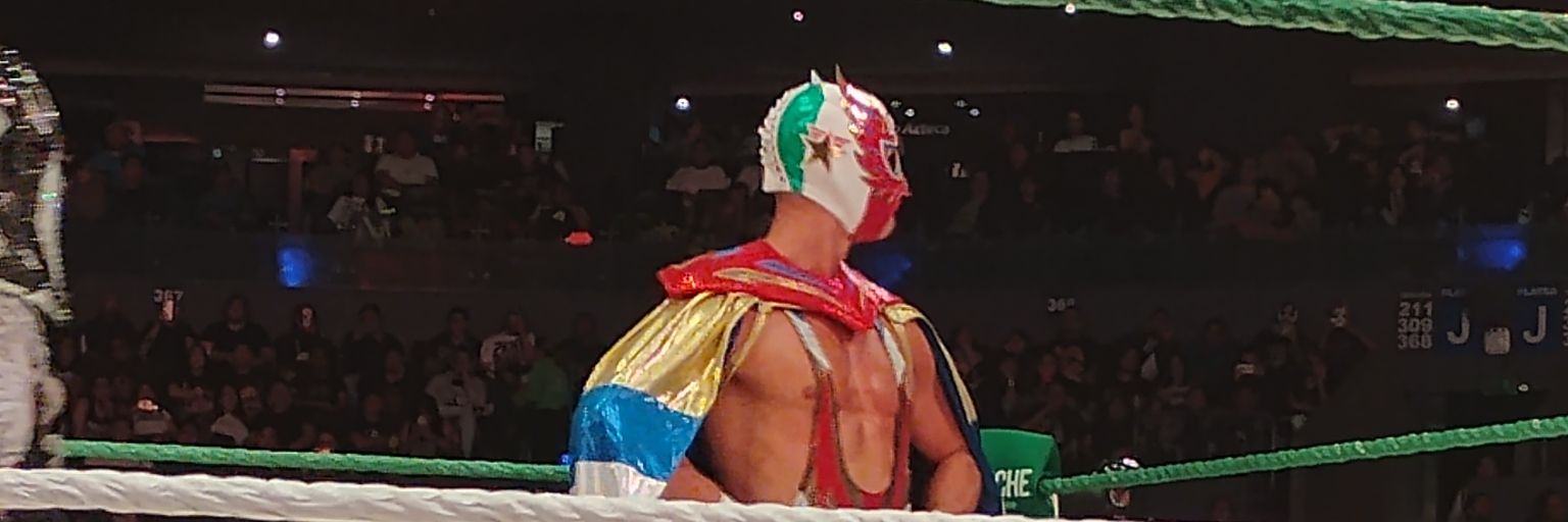 Miguel Angel Mendez banner