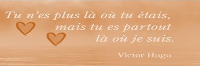 Mc™️🌶 Toujours un peu con-finée banner