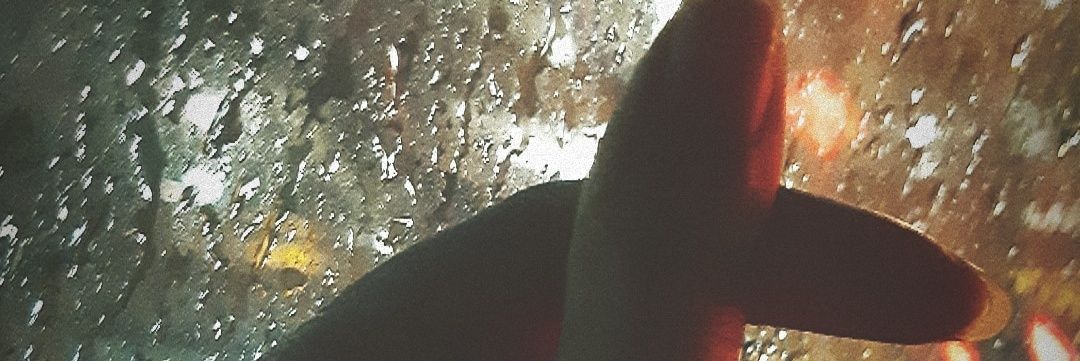 nooksasi's profile banner image