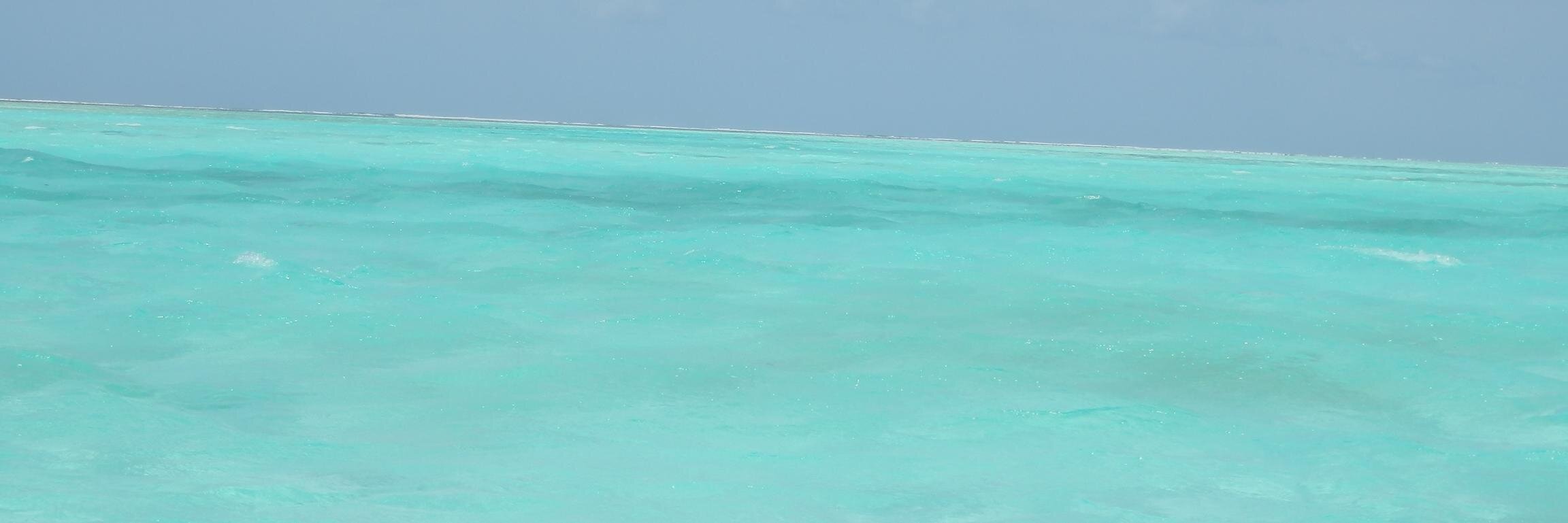 Kikeina's profile banner image