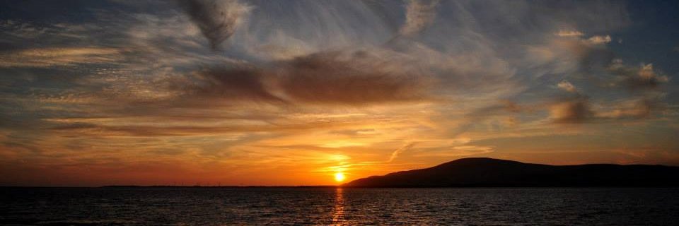 Dave C 🤟🏻 banner