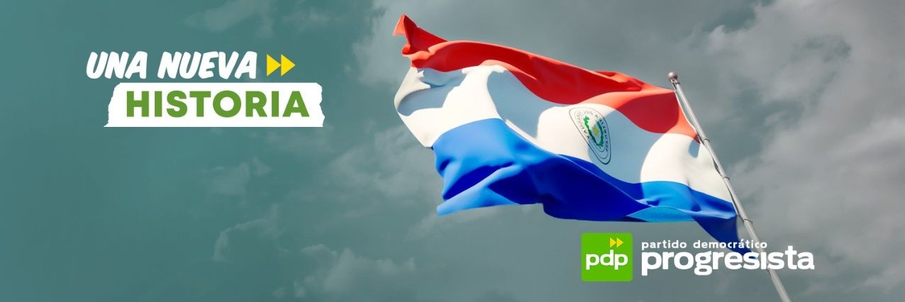 PDP Progresista banner