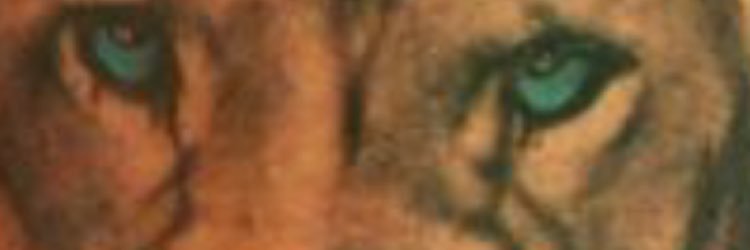 mvs1119's profile banner image