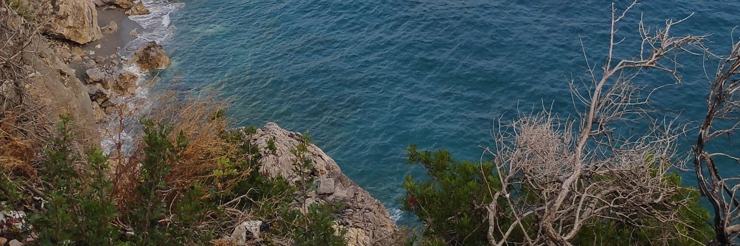Venluigi's profile banner image