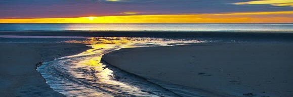 Michael Smith, PT banner