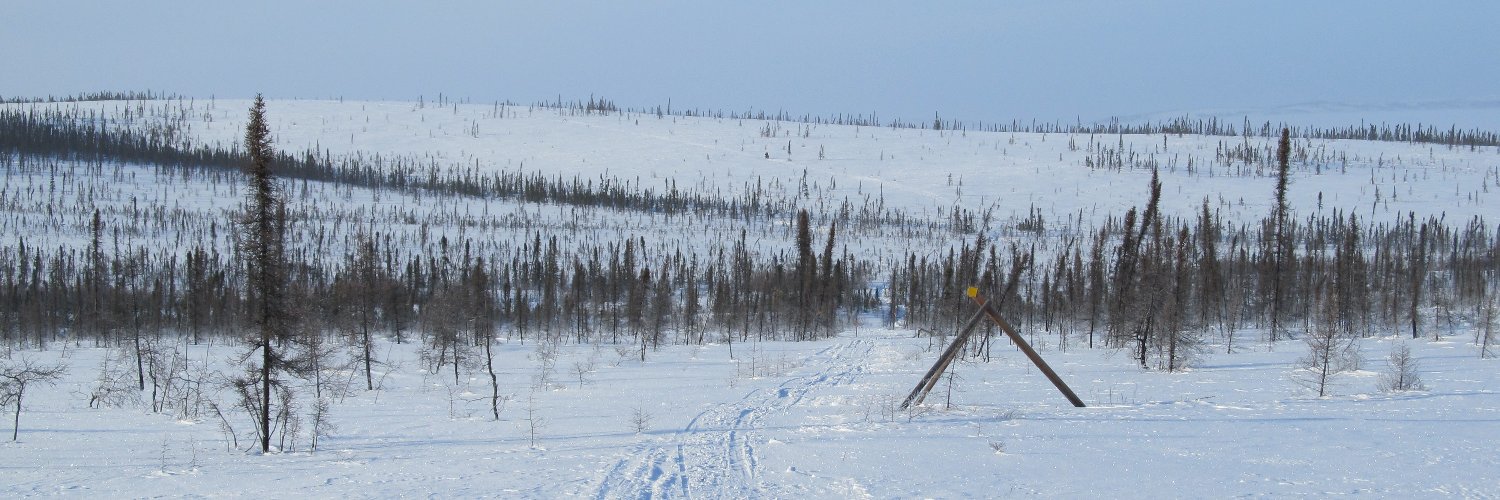 tonilund's profile banner image