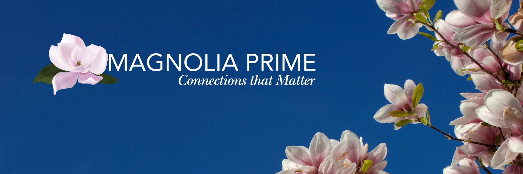 magnoliaPrime's profile banner image