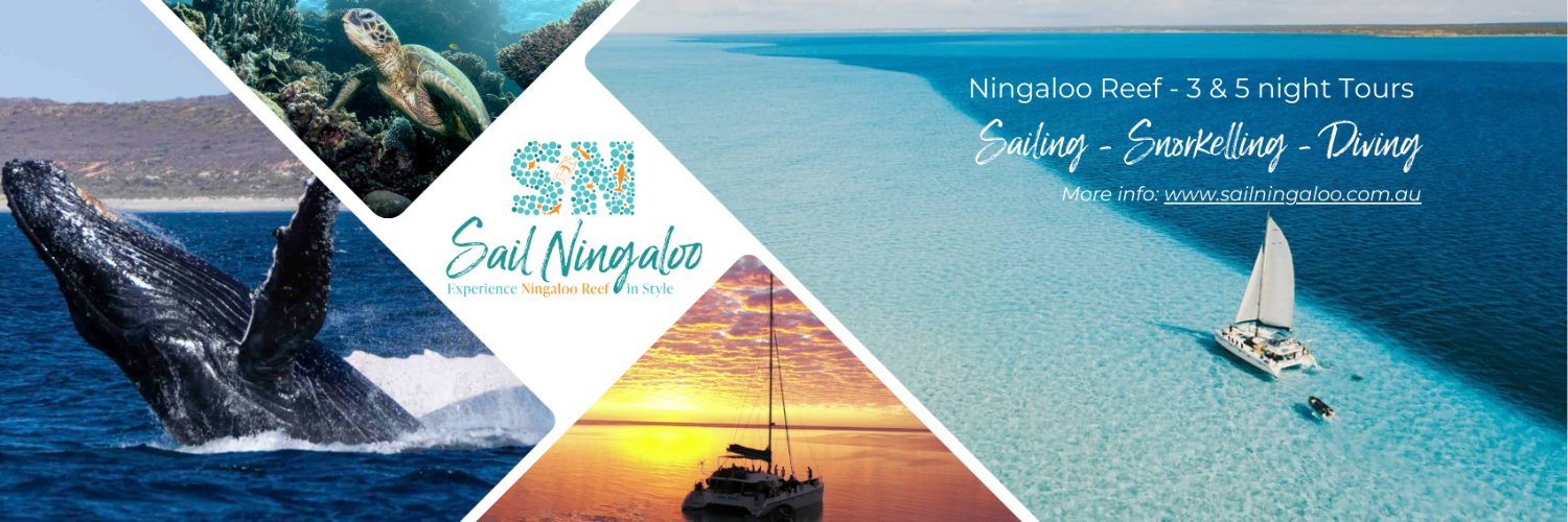 SailNingaloo's profile banner image