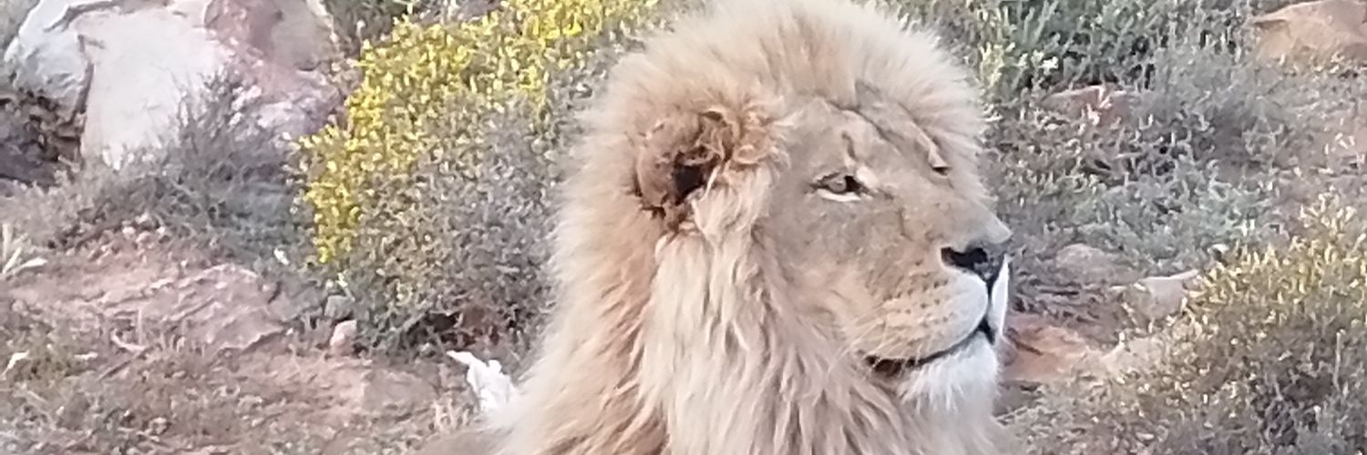 Billza71's profile banner image