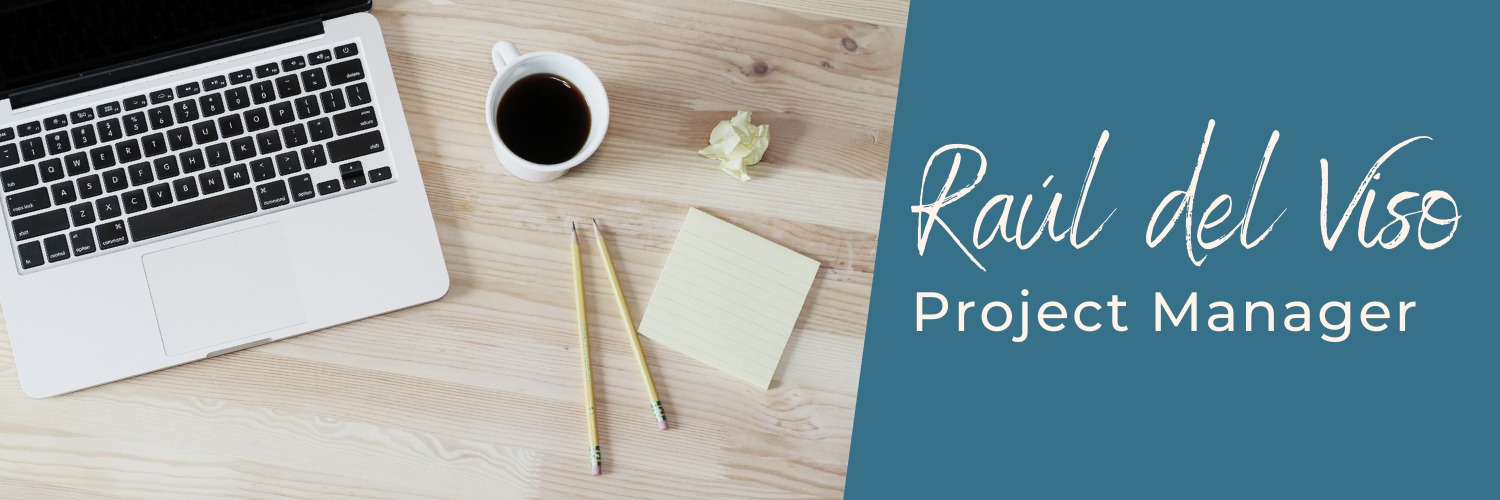 Raúl del Viso / Project Manager banner