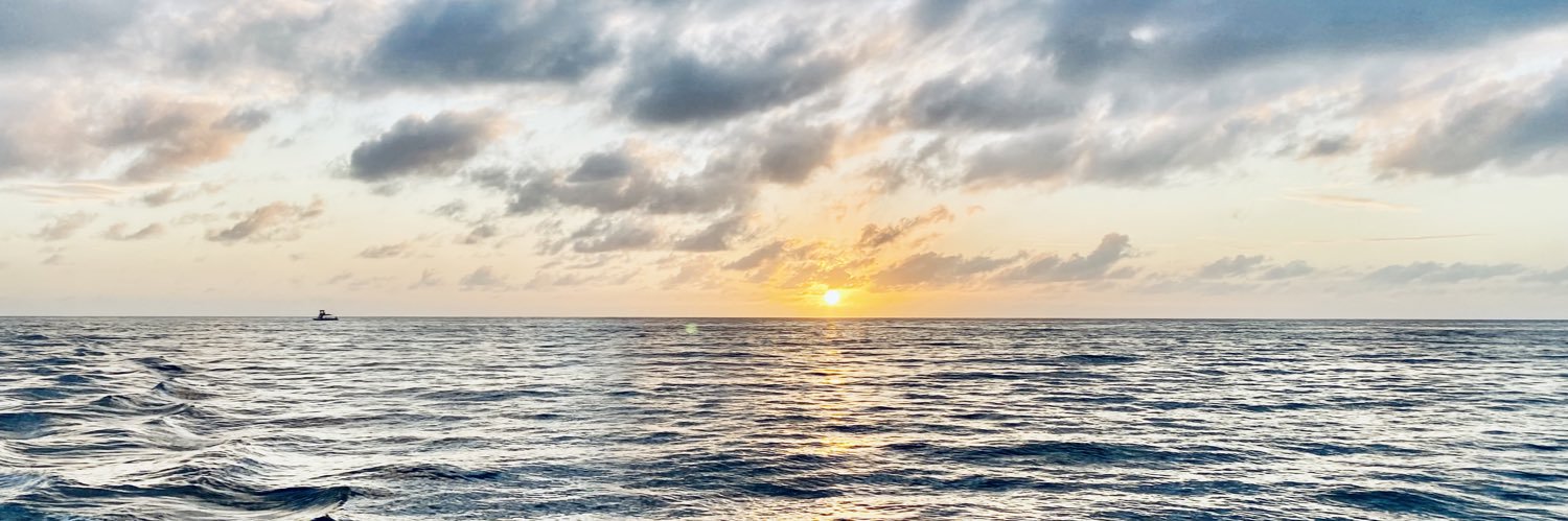 ztaep_'s profile banner image