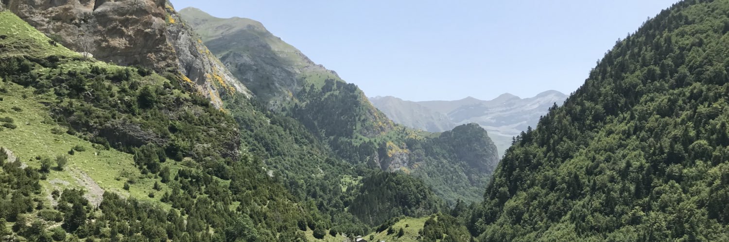 Jack Greenhalgh banner