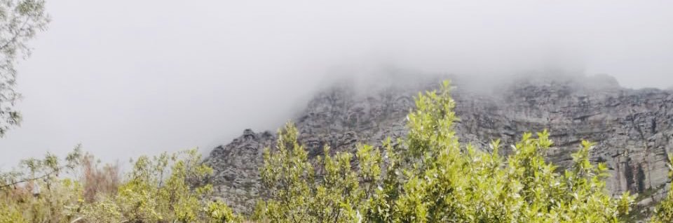 LDgruis's profile banner image