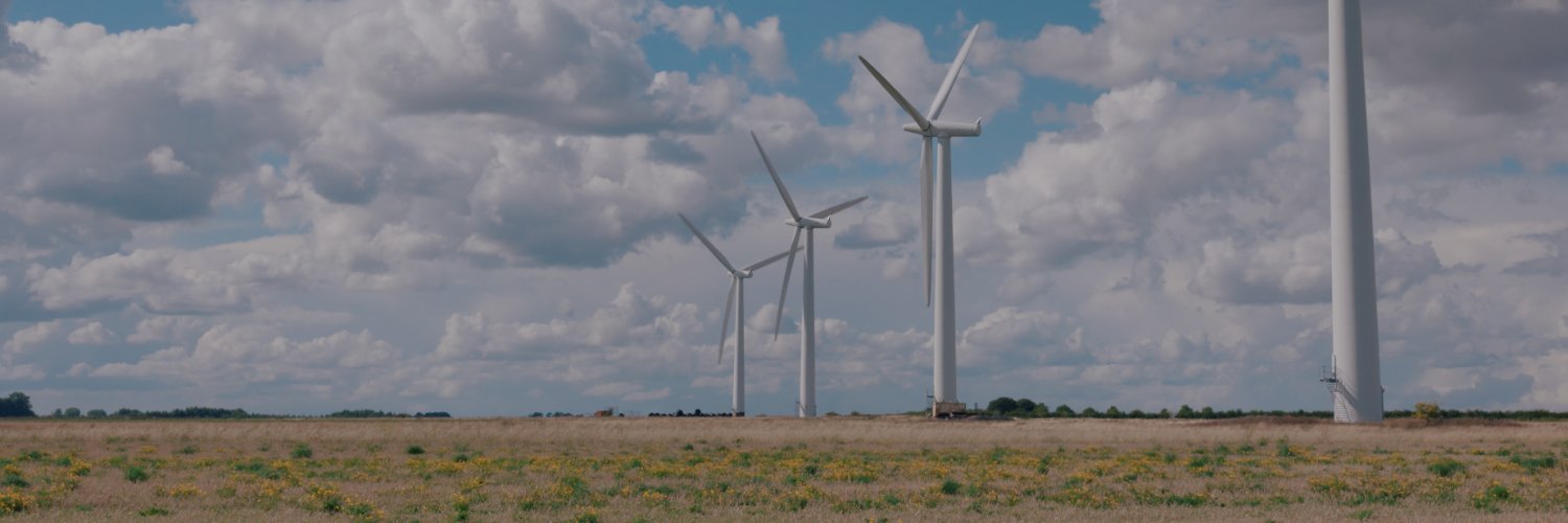 Matt's Gallery banner