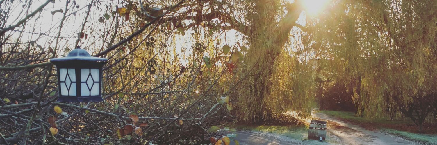 PERRY COURT FARM banner