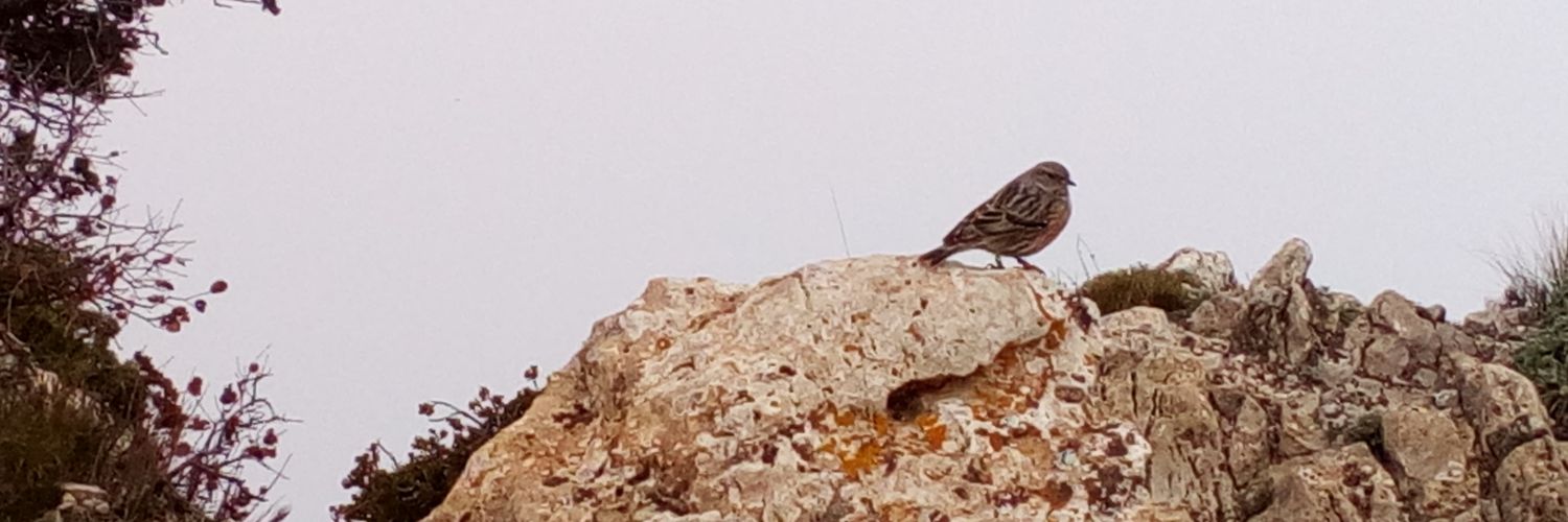 PabloMorgan42's profile banner image