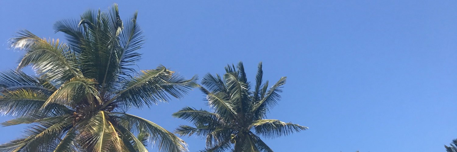 GallivantsBlog's profile banner image