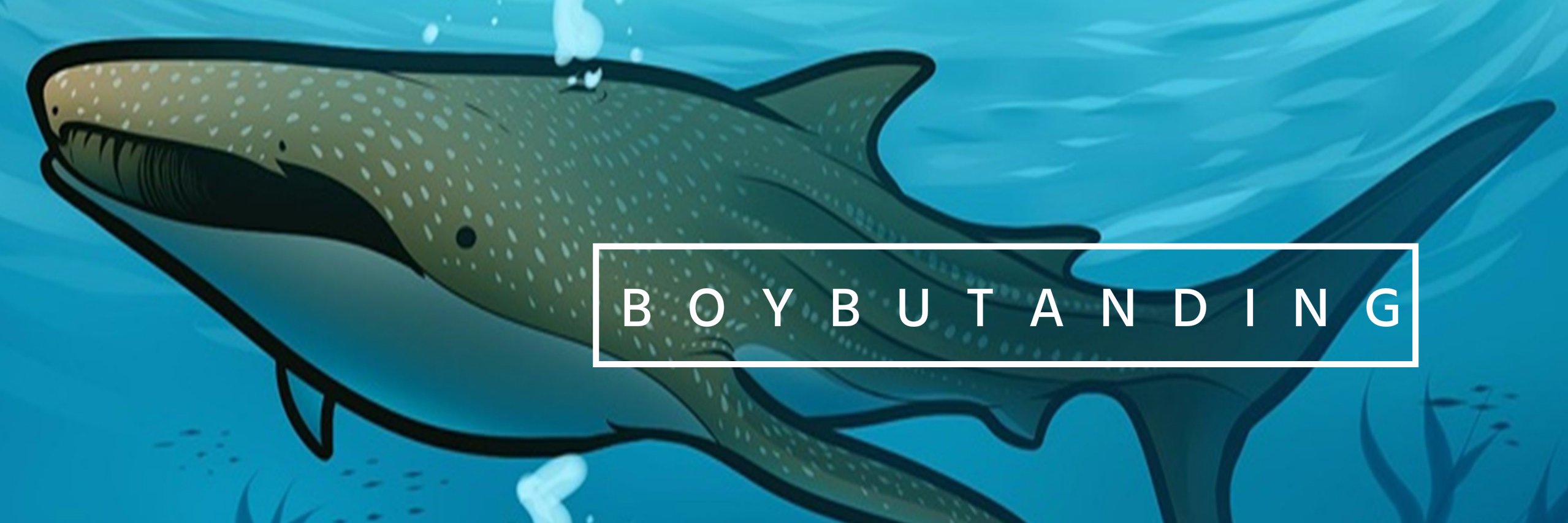 boybutandingZ's profile banner image