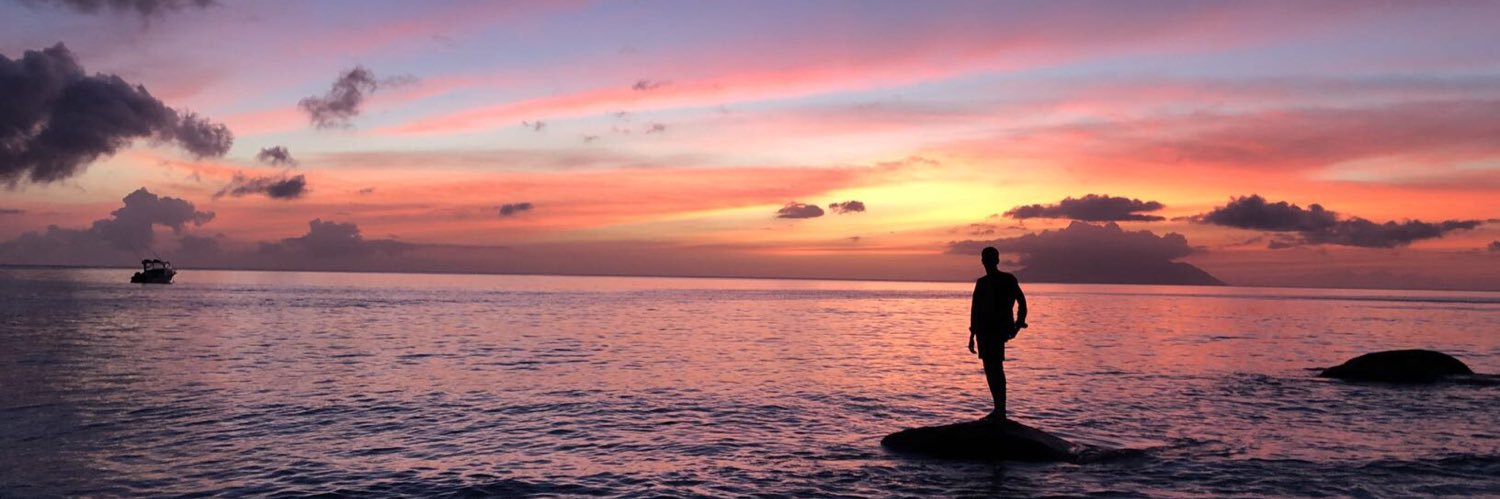 Viquette_'s profile banner image