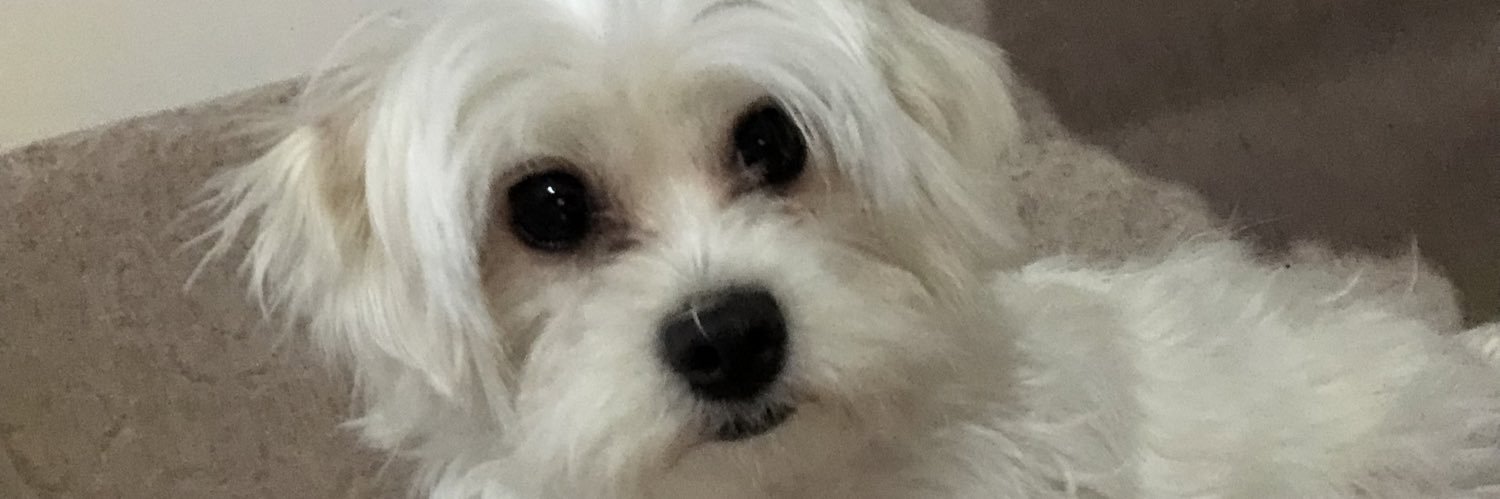 MPulgu's profile banner image