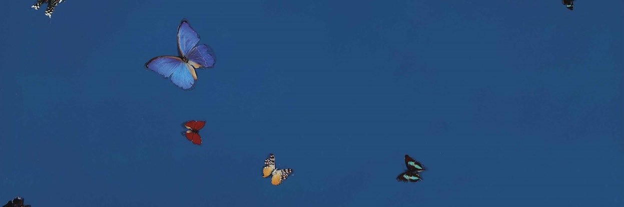 azertwx_'s profile banner image