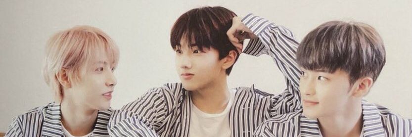 jopi banner