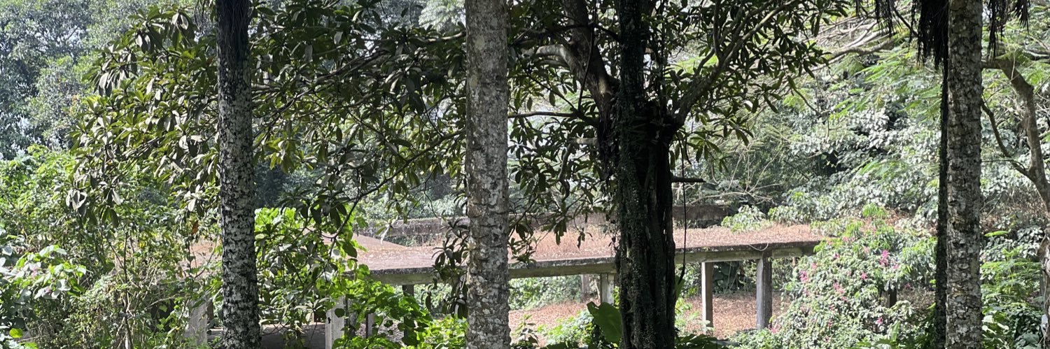 bamanor's profile banner image