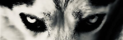 MerrowMr's profile banner image