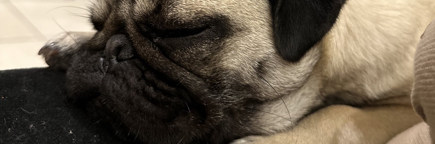 HayanneQ's profile banner image