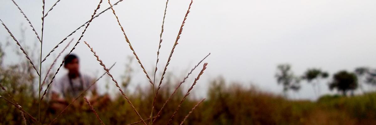 ZeinMuslim's profile banner image