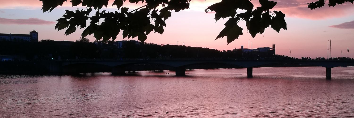 alonso1224's profile banner image